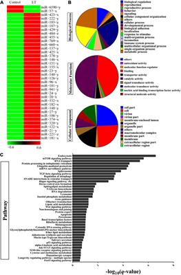 miR-151 Affects Low-Temperature Tolerance of Penaeus vannamei by Modulating Autophagy Under Low-Temperature Stress